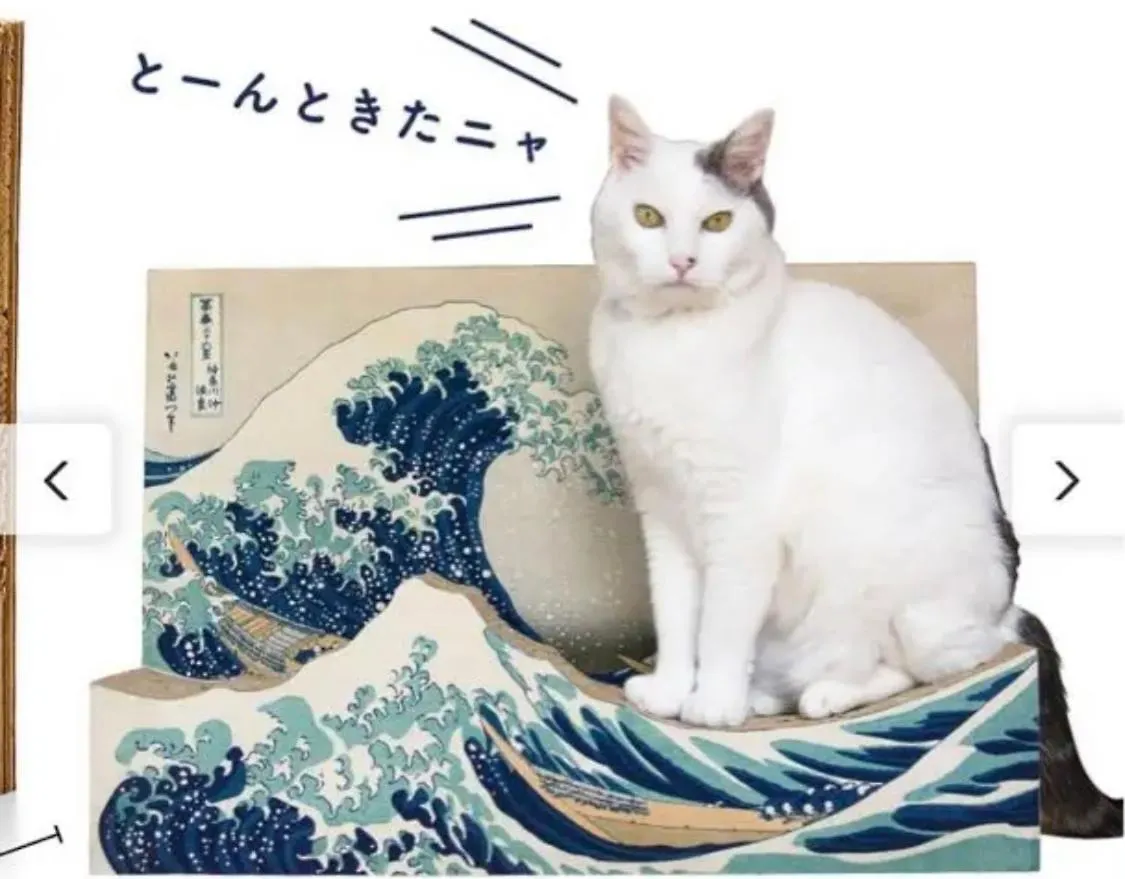 Small Villa Tokyo: Shibuya-Adjacent Pet-Friendly House Holiday home Tokyo