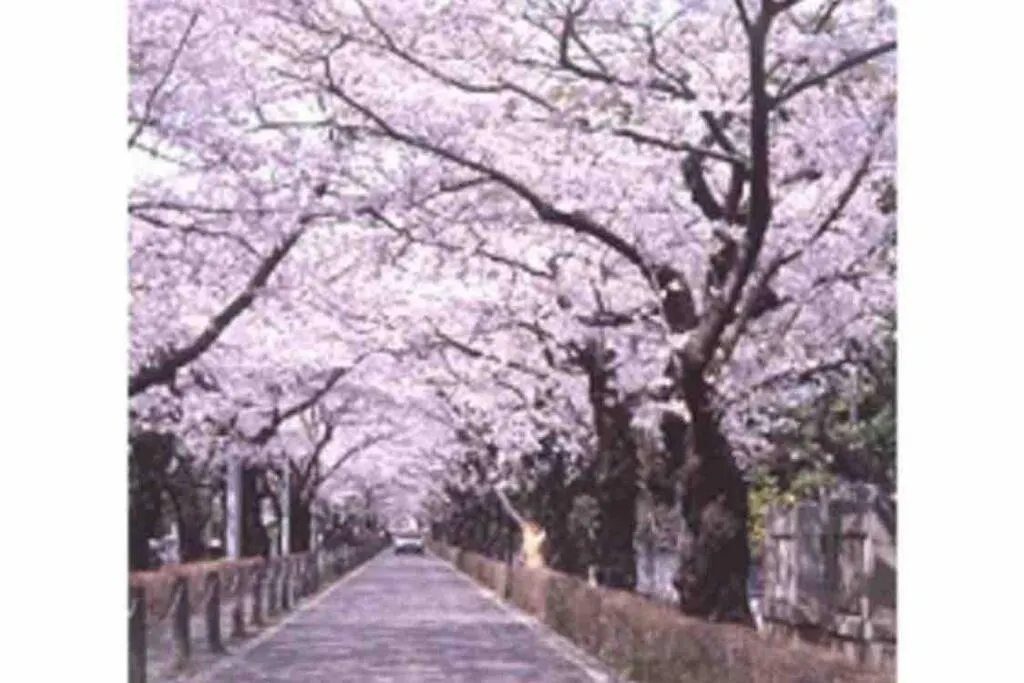 Holiday home Small Villa Tokyo: Shibuya-Adjacent Pet-Friendly House